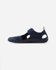 Soft coral